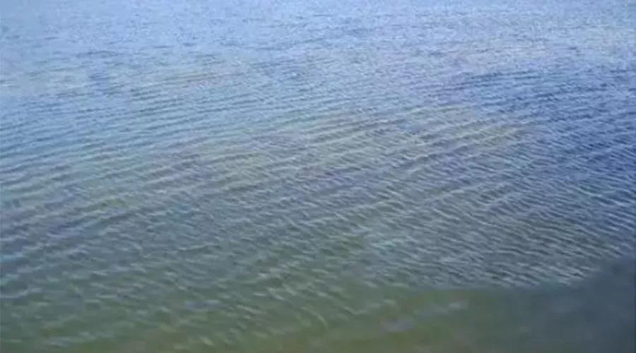 網帶式超聲波清洗機應用范圍